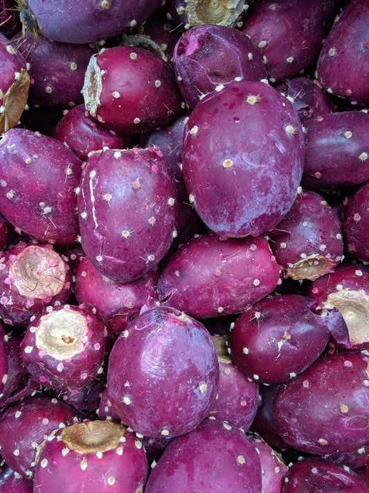 You got any prickly pear seeds?